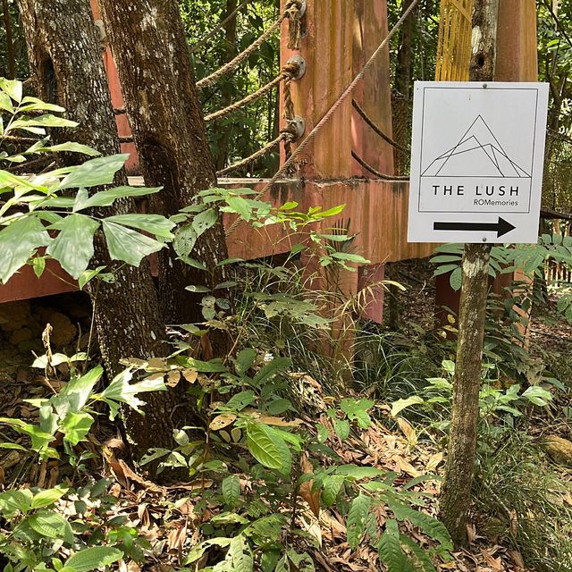 The Lush Cafe @ Gunung Lambak