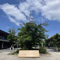 【大阪府】大阪城公園のランチスポットへ！
