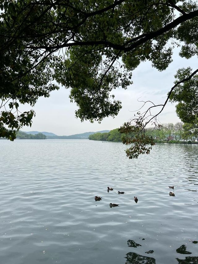 杭州西湖漫步一日遊