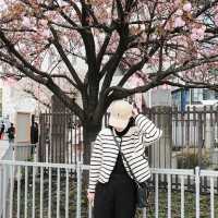 Sumida park 🌸