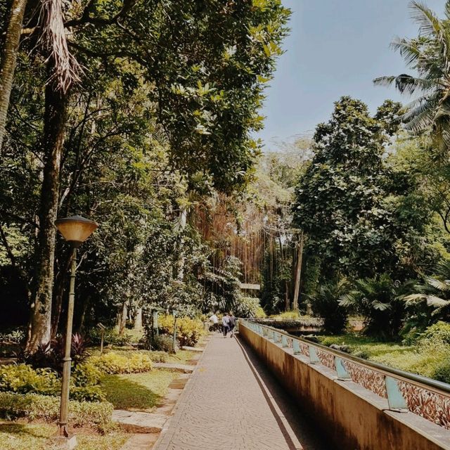 Ragunan Zoo, Jakarta Ragunan Zoo, Jakarta