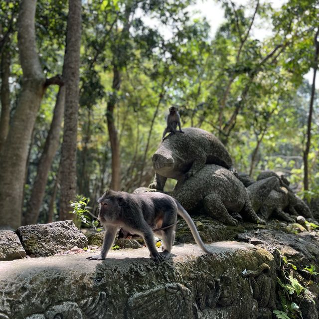 Monkeying Around in Ubud