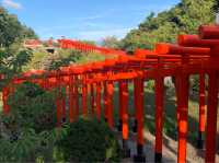 高山稻荷神社：美景，特色鳥居，適合任何時間和場景