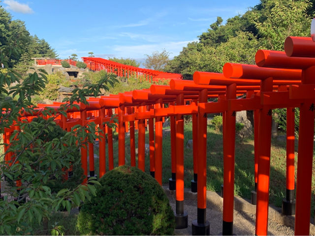 高山稻荷神社：美景，特色鳥居，適合任何時間和場景