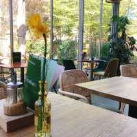 荷蘭🇳🇱 Hortus botanicus Leiden萊頓植物園🌵🪴室內篇