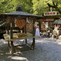 京都嵐山の野宮神社は緑深い神秘的なパワースポット