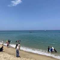 넓고 푸른 동해안의 자랑 강릉 안목해변🌊