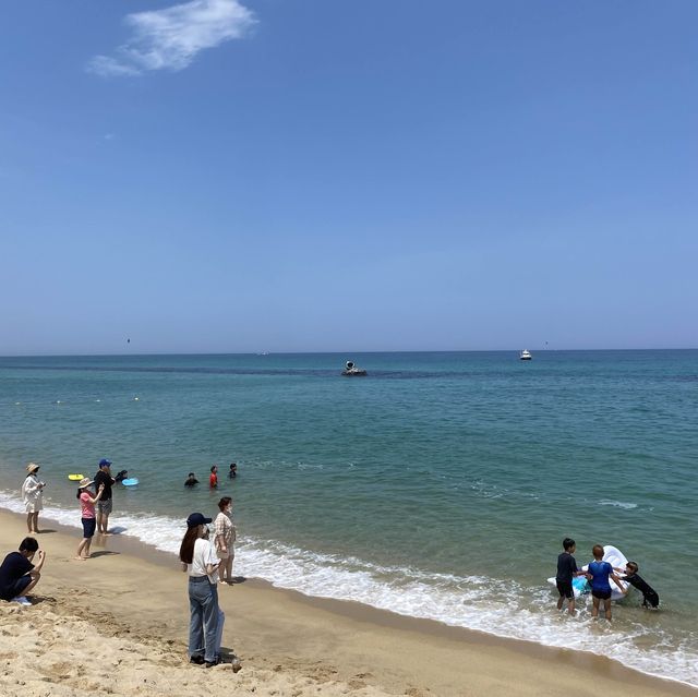 넓고 푸른 동해안의 자랑 강릉 안목해변🌊
