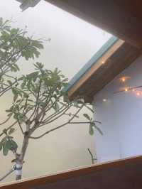 The Garden cafe and restaurant 