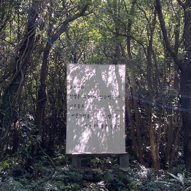 신비로움 가득한 제주 산양곶자왈 🌳