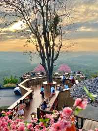เหลียงซาน Liangshan Coffee Khaokho #เพชรบูรณ์