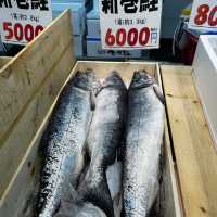 fish market in Niigata prefecture 🎣 