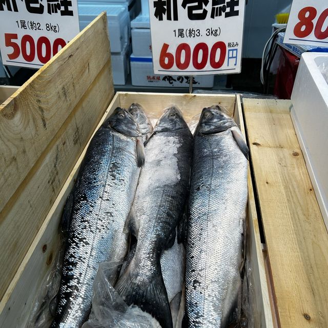 fish market in Niigata prefecture 🎣 