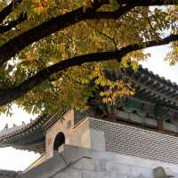 고즈넉한 경복궁.. 가을에 더 예쁜거 아셨나요?🤎🍁