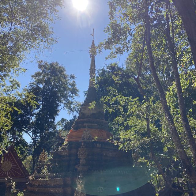 นั่งสมาธิธรรมชาติบำบัด ที่วัดผาลาด