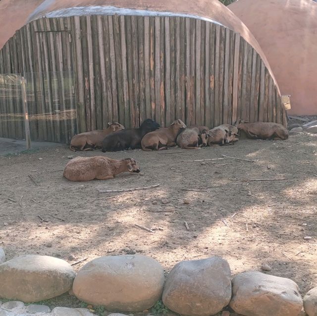 新竹動物園