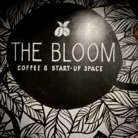  The Bloom - A go to Cafe