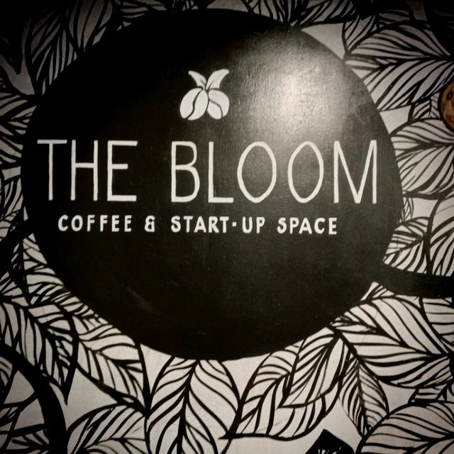  The Bloom - A go to Cafe