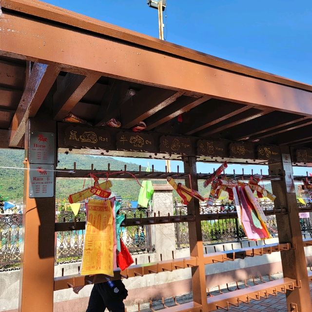 過年必到許願樹前拋寶牒🧧🎋祝大家萬事勝意🎊