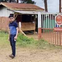ที่ราบสูงโบลาเวน (Bolaven Plateua) อ่านต่อได้ที่ :