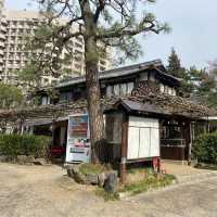 名古屋 - 鶴舞公園 休閑走一走吃醬油丸子～