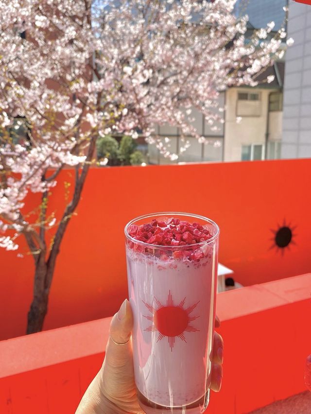 🌸벚꽃 액자뷰 사진을 찍을 수 있는  도산공원 카페 “바이칼리아”  