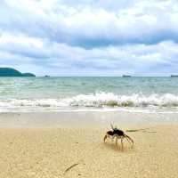 ที่พักภูเก็ตต้อง Pullman hotel and resort Phuket 