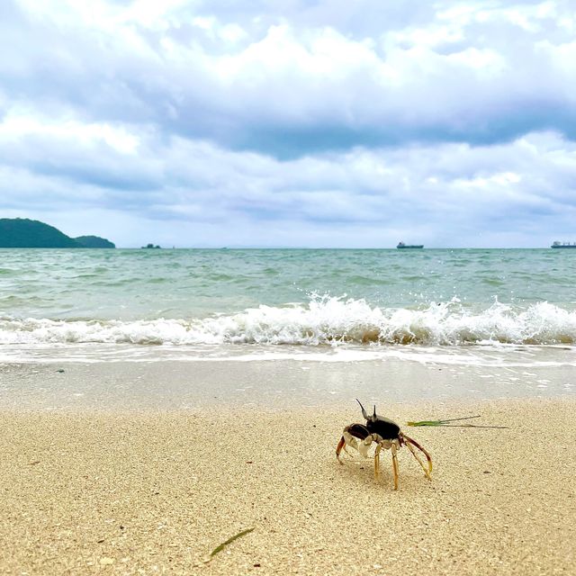 ที่พักภูเก็ตต้อง Pullman hotel and resort Phuket 