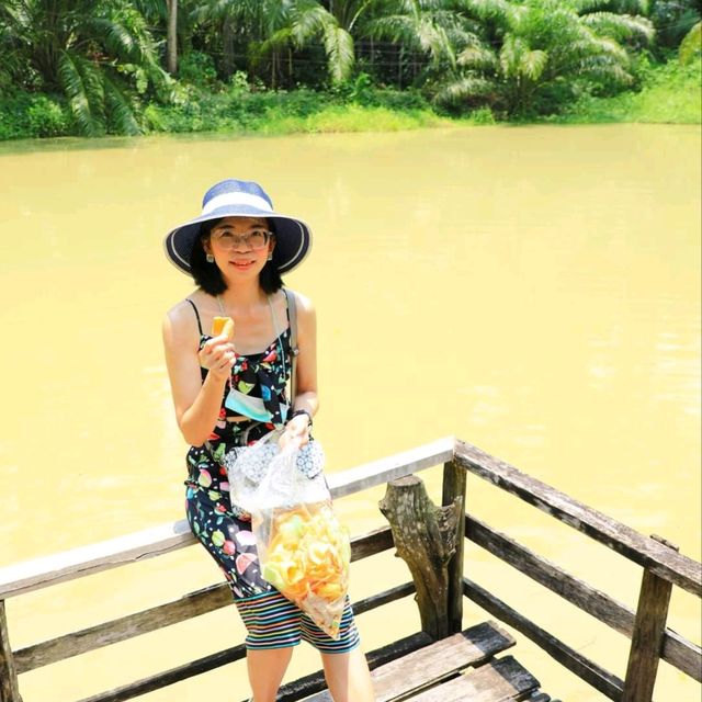 ไร่เกษมสุข อำเภอทุ่งใหญ่ จังหวัดนครศรีธรรมราช