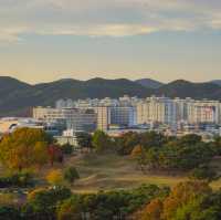 대구사람들도 잘 모르는 피크닉명소!