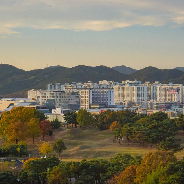 대구사람들도 잘 모르는 피크닉명소!