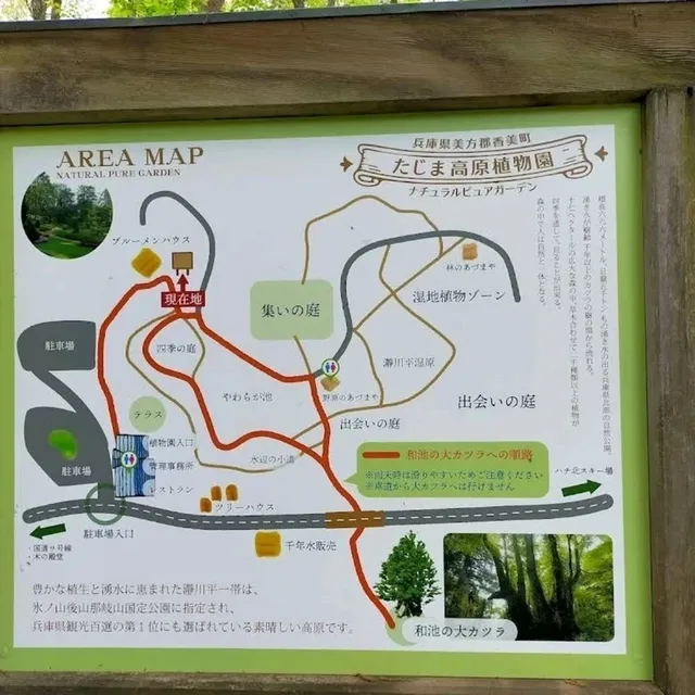 來到兵庫縣不能錯過但馬牛61種不同部位燒肉