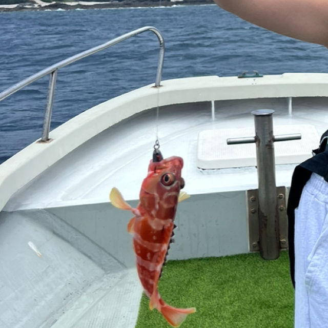 【沖縄旅行】座間味を楽しむ宿　民宿中村屋