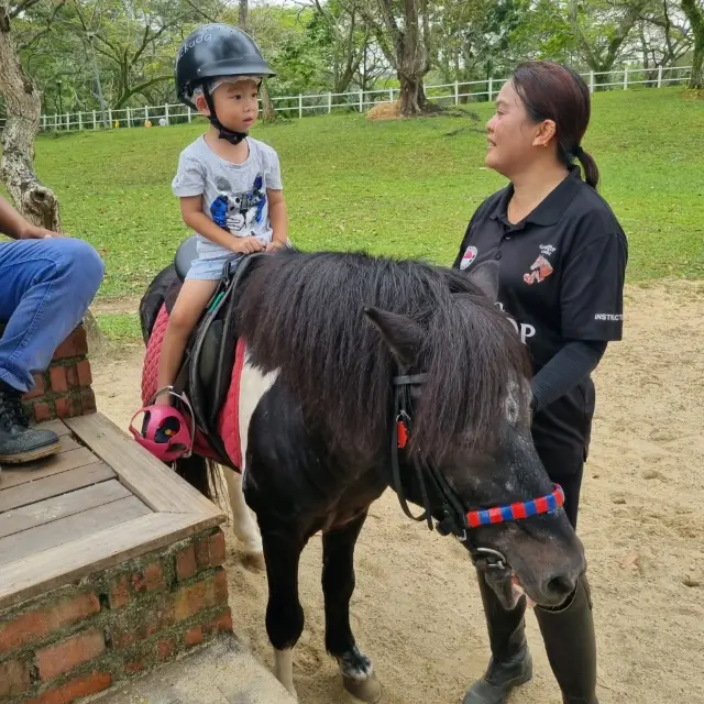 Fun With Horses At Gallop Stable 🐴