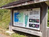 北海道　北海道観光　礼文島の外せない観光スポット！スカイ岬の海の青さに感動！