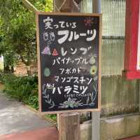 沖縄本島「おきなわワールド」沖縄を代表する観光スポット