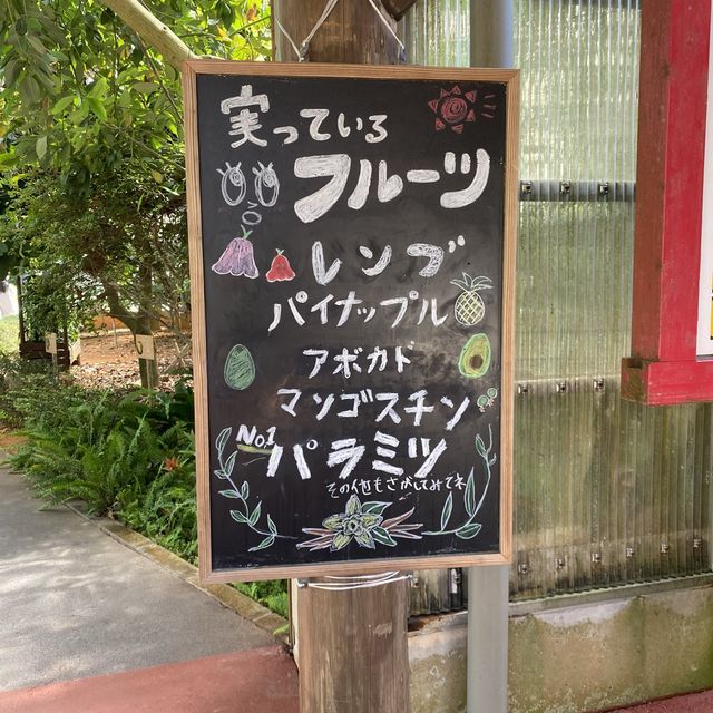 沖縄本島「おきなわワールド」沖縄を代表する観光スポット