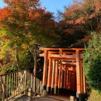 伏見稲荷千本鳥居を四ツ辻まで散歩