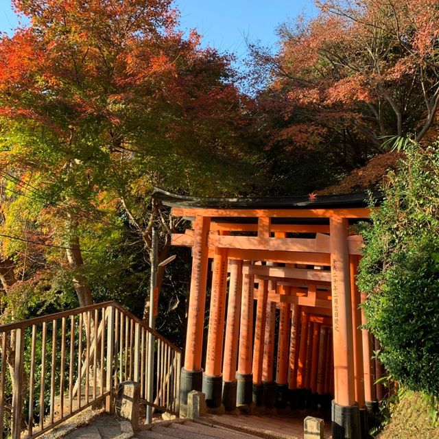 伏見稲荷千本鳥居を四ツ辻まで散歩