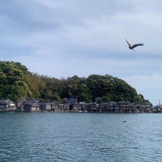 【京都】伊根湾巡りの遊覧船に乗船🚢
