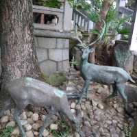 愛知旅行　子供の神様「神前神社」