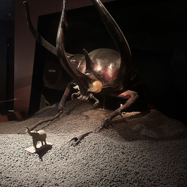 【臺中北區】自然科學館：多展區，立體電影，適合全家一日遊【8/10】