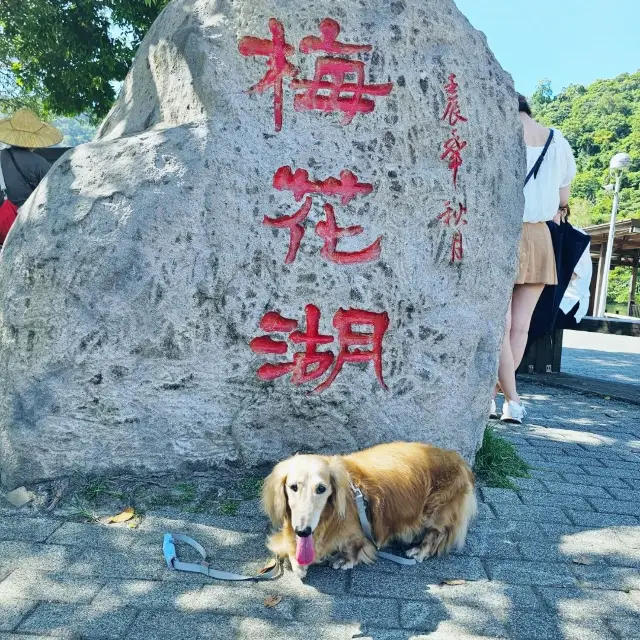 親子情侶全家出遊皆適合的梅花湖