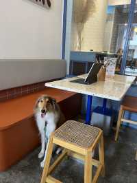 pet-friendly cafe at Joo Chiat