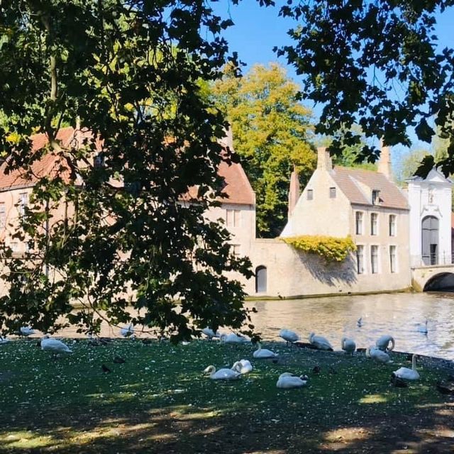 ❤️BELGIUM❤️ A HAPPY CITY🥰