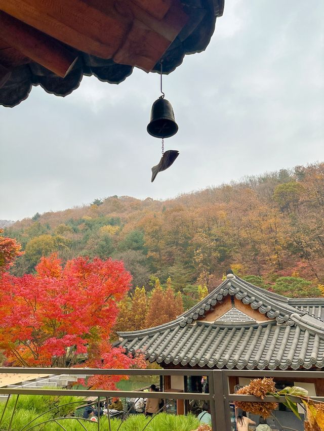 서울근교 가장 핫하다는 단풍명소 소개와 꿀팁🍁