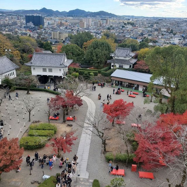 【愛知県_犬山市】日本の国宝犬山城！！