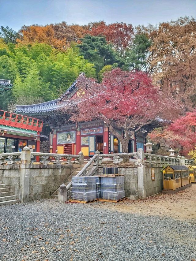 한적하게 거닐기 좋은 아름다운 홍룡사🍂