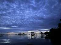 ตื่นเช้านะ่งเรือชมทุ่งบัวแดง-พัทลุง