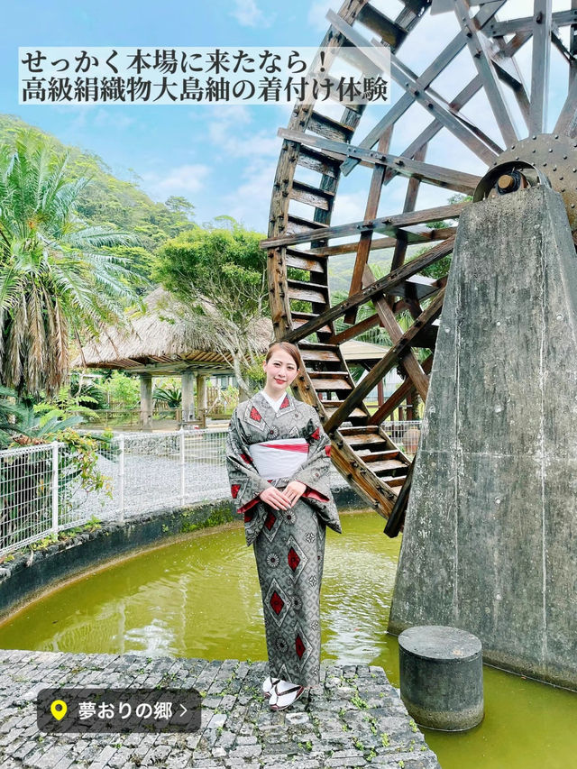 【保存版】さくっとエスケープ！どこかへ行きたい気分のときに！奄美一人旅プラン✈️